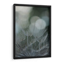 Macro Dandilion Ix - Renee W. Stramel | Cuadro decorativo de Canvas Lab