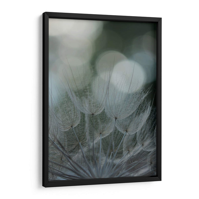 Macro Dandilion Ix - Renee W. Stramel | Cuadro decorativo de Canvas Lab