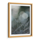Macro Dandilion Ix - Renee W. Stramel | Cuadro decorativo de Canvas Lab