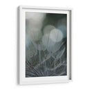 Macro Dandilion Ix - Renee W. Stramel | Cuadro decorativo de Canvas Lab