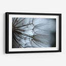 Macro Dandilion X - Renee W. Stramel | Cuadro decorativo de Canvas Lab