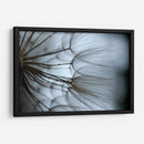 Macro Dandilion X - Renee W. Stramel | Cuadro decorativo de Canvas Lab