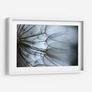 Macro Dandilion X - Renee W. Stramel | Cuadro decorativo de Canvas Lab