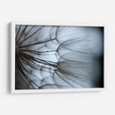 Macro Dandilion X - Renee W. Stramel | Cuadro decorativo de Canvas Lab
