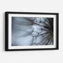 Macro Dandilion Xii - Renee W. Stramel | Cuadro decorativo de Canvas Lab