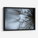 Macro Dandilion Xii - Renee W. Stramel | Cuadro decorativo de Canvas Lab
