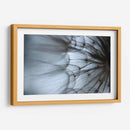 Macro Dandilion Xii - Renee W. Stramel | Cuadro decorativo de Canvas Lab