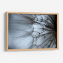 Macro Dandilion Xii - Renee W. Stramel | Cuadro decorativo de Canvas Lab