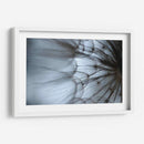 Macro Dandilion Xii - Renee W. Stramel | Cuadro decorativo de Canvas Lab