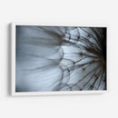 Macro Dandilion Xii - Renee W. Stramel | Cuadro decorativo de Canvas Lab
