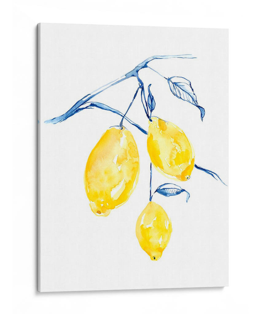 Acuarela Lemons I - Jennifer Goldberger | Cuadro decorativo de Canvas Lab