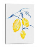Acuarela Lemons I - Jennifer Goldberger | Cuadro decorativo de Canvas Lab