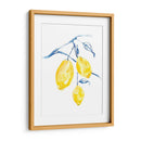 Acuarela Lemons I - Jennifer Goldberger | Cuadro decorativo de Canvas Lab