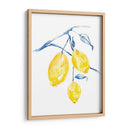 Acuarela Lemons I - Jennifer Goldberger | Cuadro decorativo de Canvas Lab