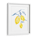 Acuarela Lemons I - Jennifer Goldberger | Cuadro decorativo de Canvas Lab
