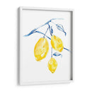 Acuarela Lemons I - Jennifer Goldberger | Cuadro decorativo de Canvas Lab