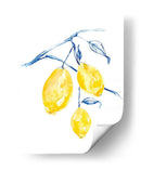 Acuarela Lemons I - Jennifer Goldberger | Cuadro decorativo de Canvas Lab