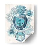 Melange Costero I - June Erica Vess | Cuadro decorativo de Canvas Lab