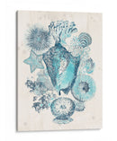 Costa Melange Iii - June Erica Vess | Cuadro decorativo de Canvas Lab