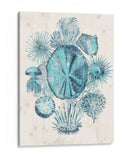 Costa De Melange Iv - June Erica Vess | Cuadro decorativo de Canvas Lab
