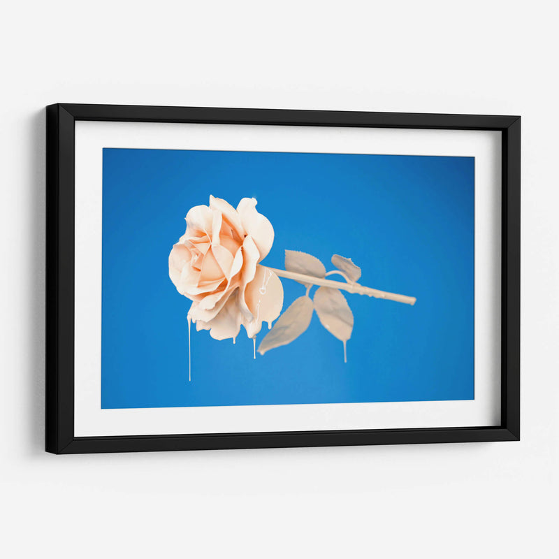 Rosa con pintura | Cuadro decorativo de Canvas Lab
