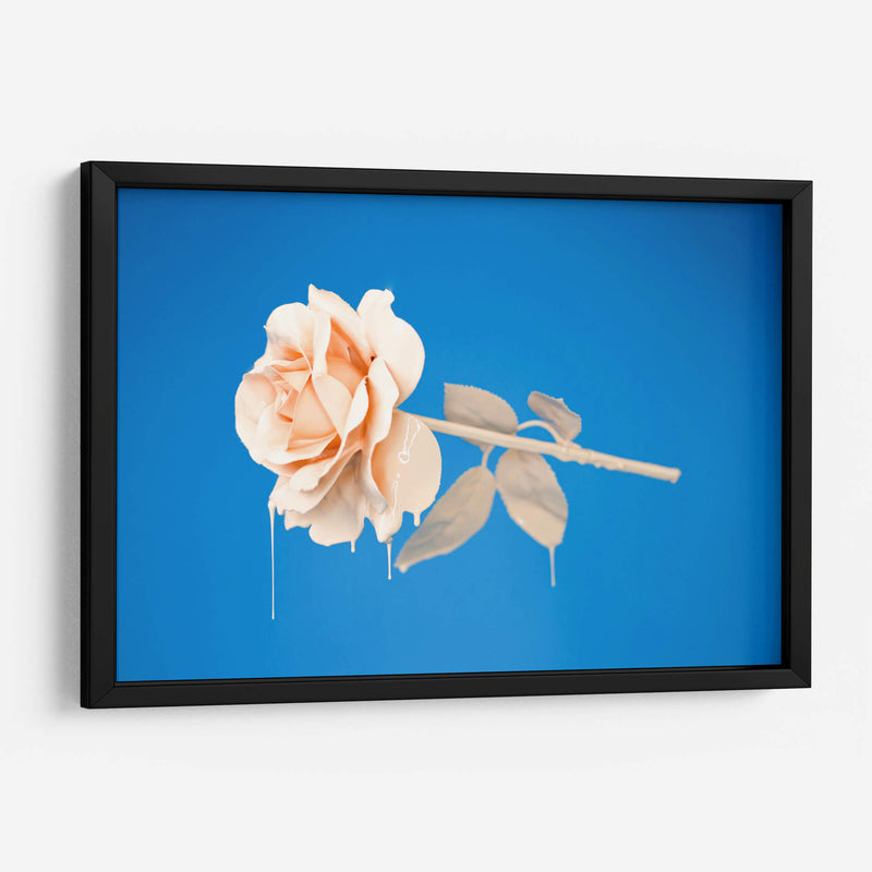 Rosa con pintura | Cuadro decorativo de Canvas Lab
