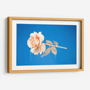 Rosa con pintura | Cuadro decorativo de Canvas Lab