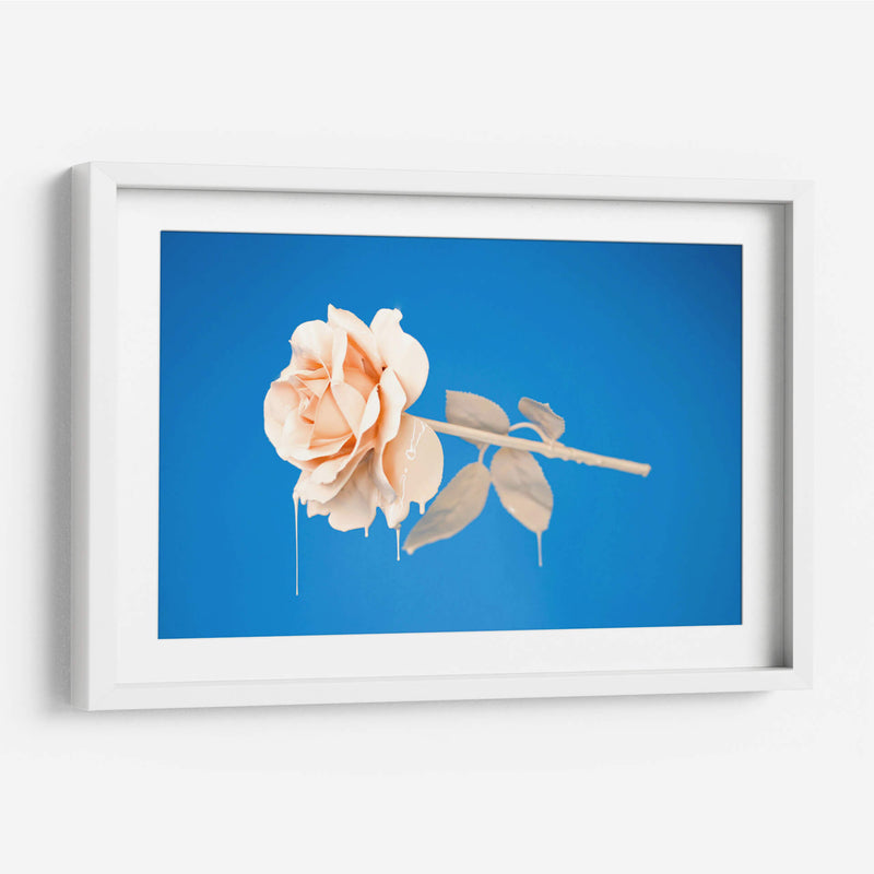 Rosa con pintura | Cuadro decorativo de Canvas Lab