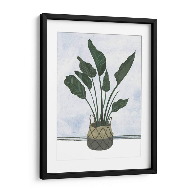 Mes Plantas Iii - Melissa Wang | Cuadro decorativo de Canvas Lab