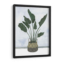 Mes Plantas Iii - Melissa Wang | Cuadro decorativo de Canvas Lab