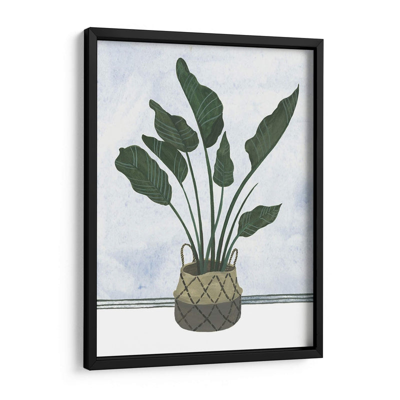 Mes Plantas Iii - Melissa Wang | Cuadro decorativo de Canvas Lab