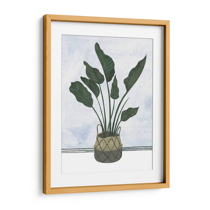 Mes Plantas Iii - Melissa Wang | Cuadro decorativo de Canvas Lab