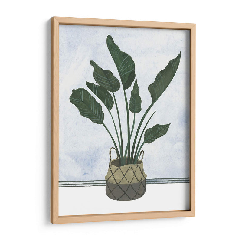 Mes Plantas Iii - Melissa Wang | Cuadro decorativo de Canvas Lab