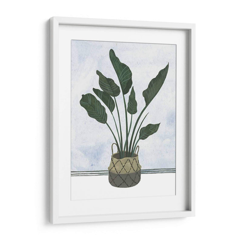 Mes Plantas Iii - Melissa Wang | Cuadro decorativo de Canvas Lab