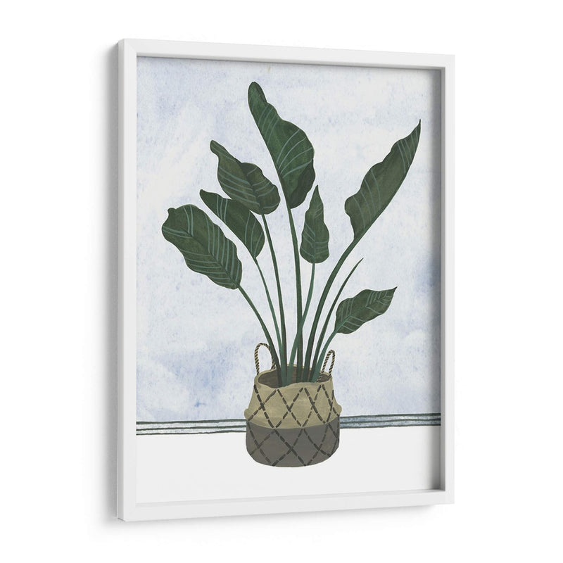 Mes Plantas Iii - Melissa Wang | Cuadro decorativo de Canvas Lab