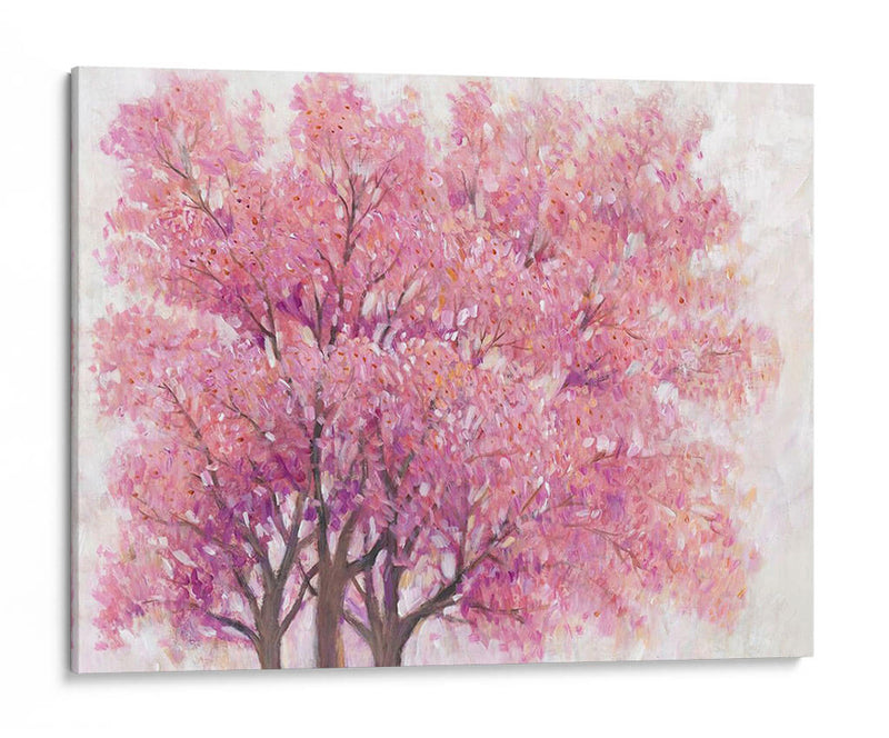 Árbol De Flor De Cerezo Rosa I - Tim OToole | Cuadro decorativo de Canvas Lab