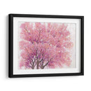 Árbol De Flor De Cerezo Rosa I - Tim OToole | Cuadro decorativo de Canvas Lab