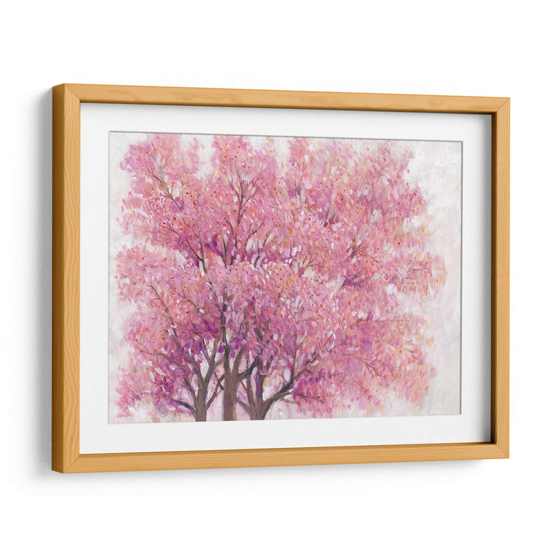 Árbol De Flor De Cerezo Rosa I - Tim OToole | Cuadro decorativo de Canvas Lab