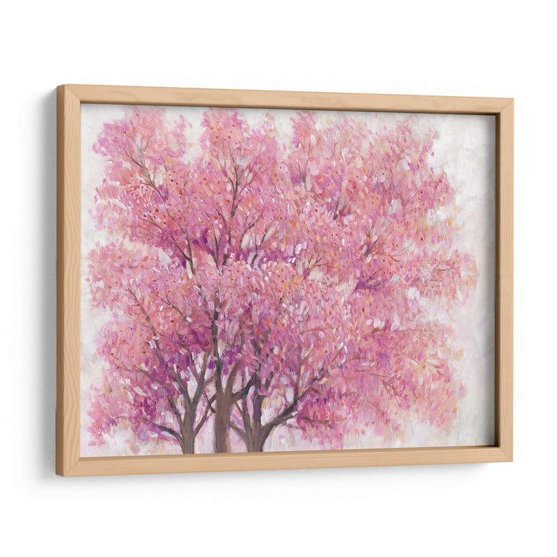 Árbol De Flor De Cerezo Rosa I - Tim OToole | Cuadro decorativo de Canvas Lab