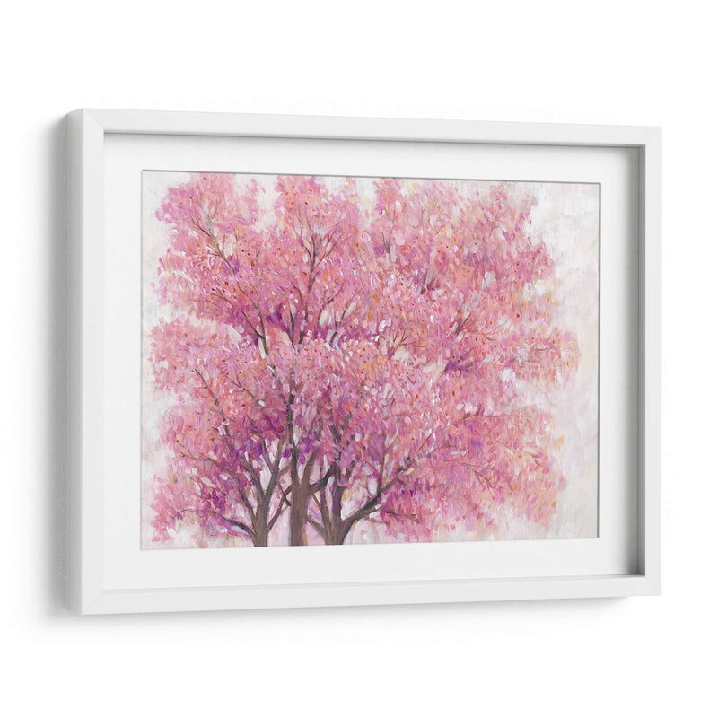 Árbol De Flor De Cerezo Rosa I - Tim OToole | Cuadro decorativo de Canvas Lab