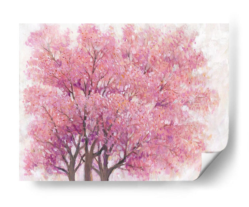 Árbol De Flor De Cerezo Rosa I - Tim OToole | Cuadro decorativo de Canvas Lab