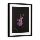 Oscuro Y Soñador I - Renee W. Stramel | Cuadro decorativo de Canvas Lab