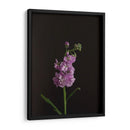 Oscuro Y Soñador I - Renee W. Stramel | Cuadro decorativo de Canvas Lab