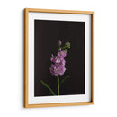 Oscuro Y Soñador I - Renee W. Stramel | Cuadro decorativo de Canvas Lab