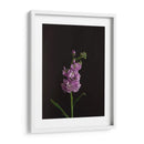 Oscuro Y Soñador I - Renee W. Stramel | Cuadro decorativo de Canvas Lab