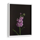 Oscuro Y Soñador I - Renee W. Stramel | Cuadro decorativo de Canvas Lab