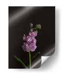 Oscuro Y Soñador I - Renee W. Stramel | Cuadro decorativo de Canvas Lab