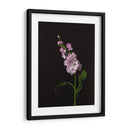 Oscuro Y Soñador Ii - Renee W. Stramel | Cuadro decorativo de Canvas Lab