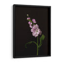 Oscuro Y Soñador Ii - Renee W. Stramel | Cuadro decorativo de Canvas Lab