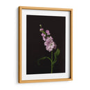 Oscuro Y Soñador Ii - Renee W. Stramel | Cuadro decorativo de Canvas Lab